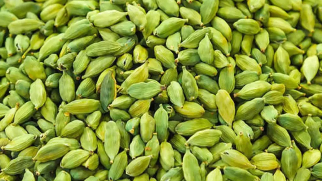 Which City is known as the Cardamom City of India? Know the Reason